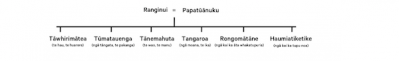 Rongomātāne whakapapa