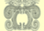 Whakaaturanga whakapapa