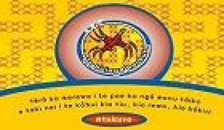 Te Huinga Raukura flipbooks