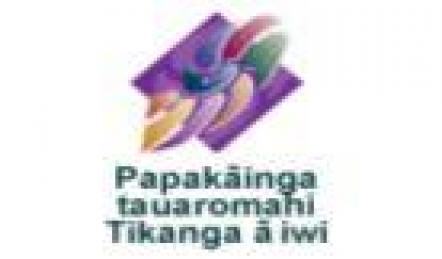 He Tauaromahi Tikanga ā-iwi